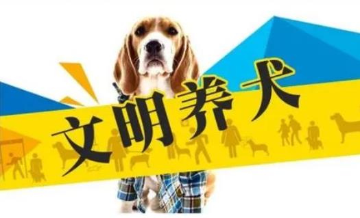 2023年3月1日起施行！《黃石市養(yǎng)犬管理?xiàng)l例》來了