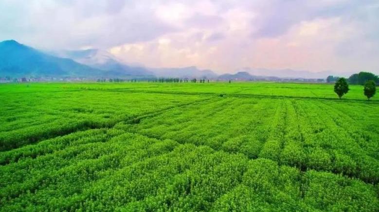 祝賀！蘄春縣生物多樣性保護(hù)成功入選全國優(yōu)秀案例